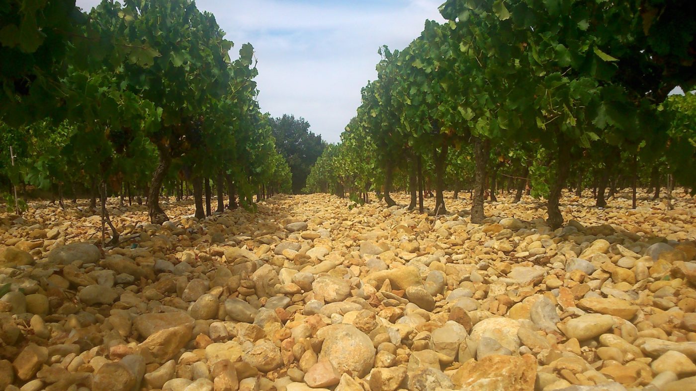 A soil strewn with huge pebbles